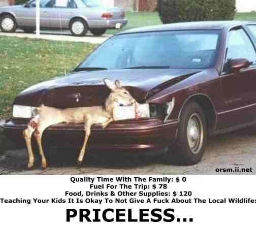 Car_With_Deer.jpg