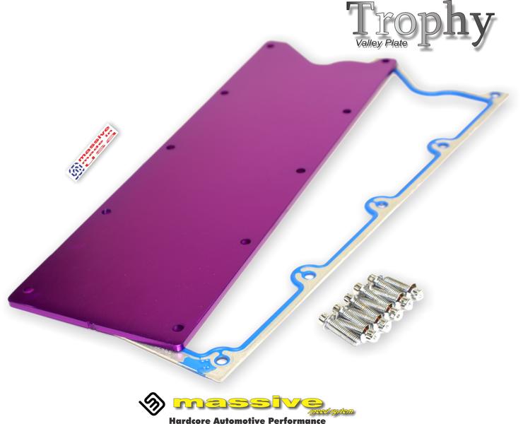 Massive LS Gen III Valley Plate Purple w Gasket