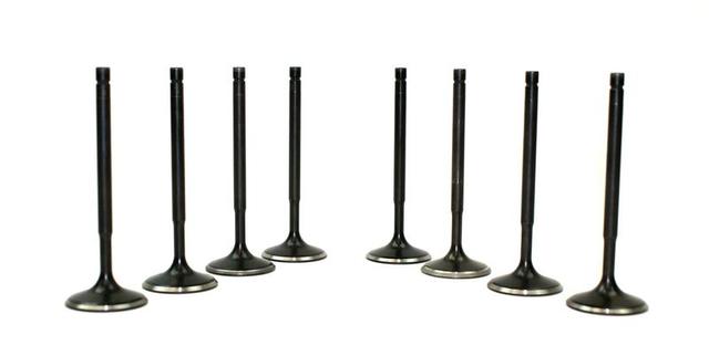 Black Valves 8 SHOWN