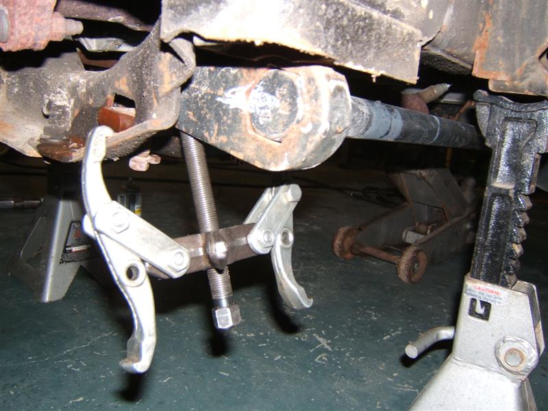 DSCF0316 (Medium).JPG