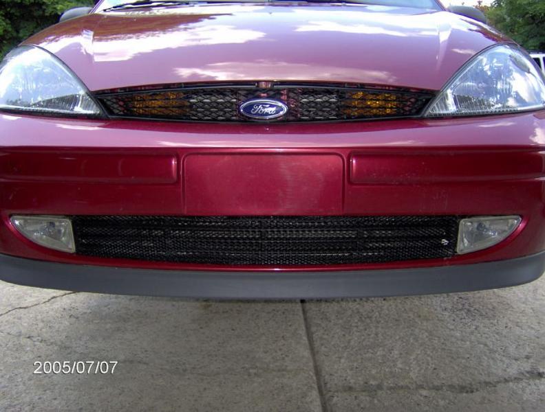 Painted lower mesh grill