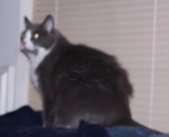 100_1272.JPG