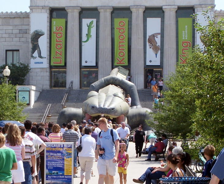 chicago aquarium 027.jpg