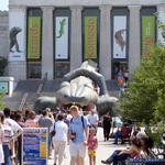 chicago aquarium 027.jpg