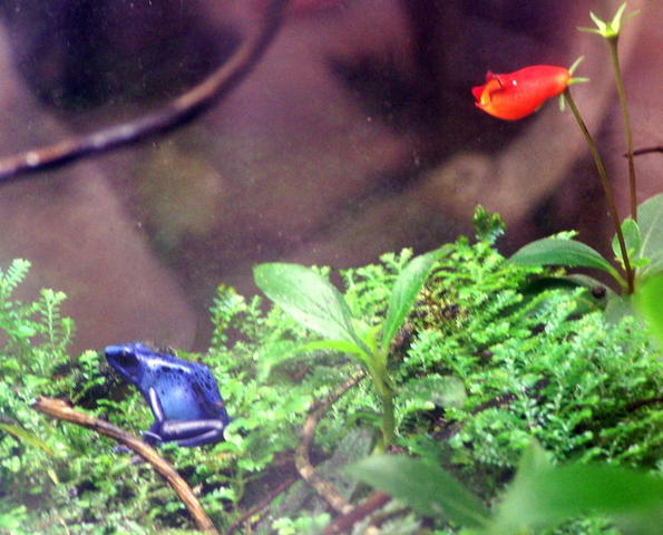 chicago aquarium 088.jpg