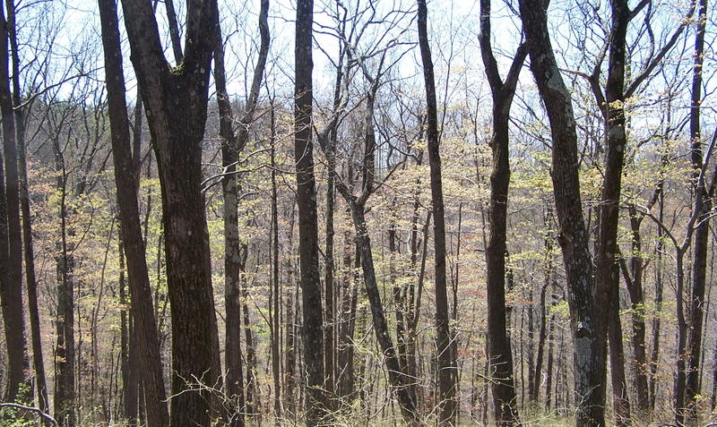 100_2674.JPG