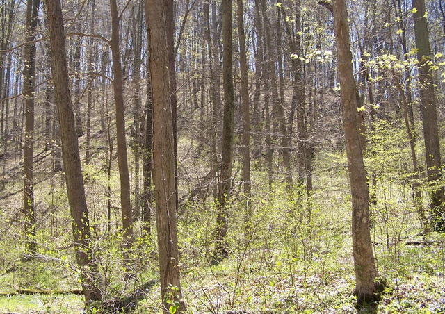 100_2703.JPG