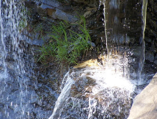 100_2746.JPG