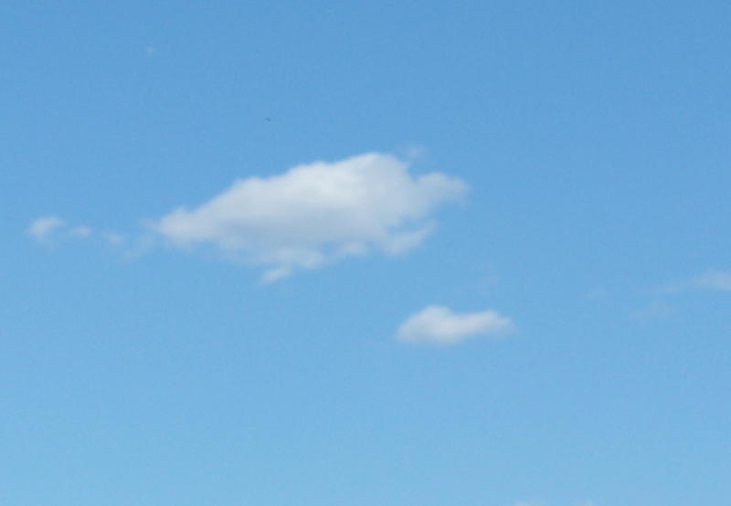 100_2812.JPG
