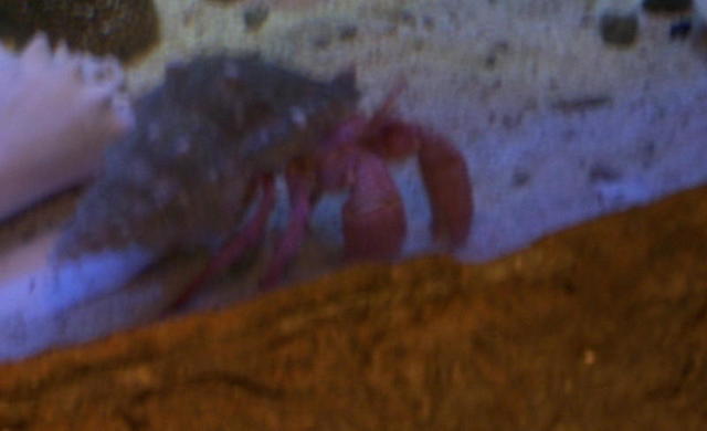 100_3372.JPG