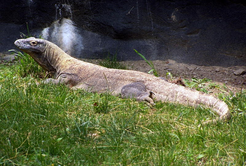 100_3452.JPG