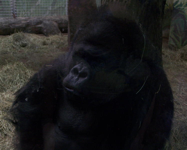 100_3445.JPG
