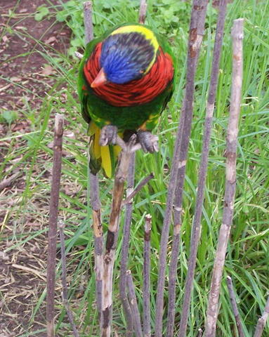 100_3463.JPG