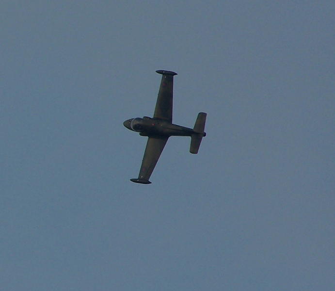 100_3833.JPG