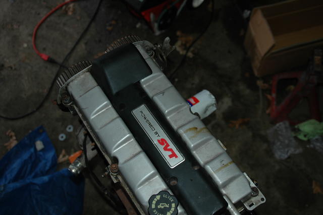 DSC_3119.JPG