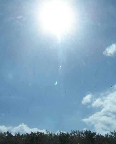 100_4919.JPG