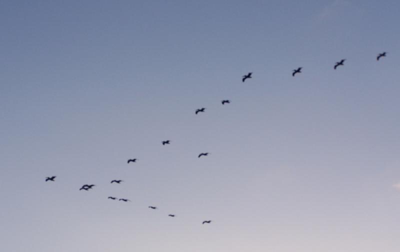 100_4938.JPG