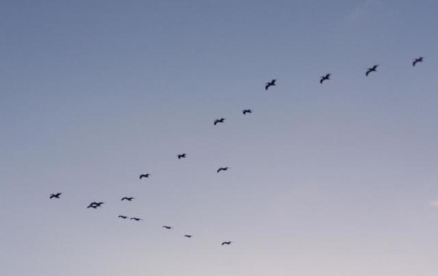 100_4938.JPG