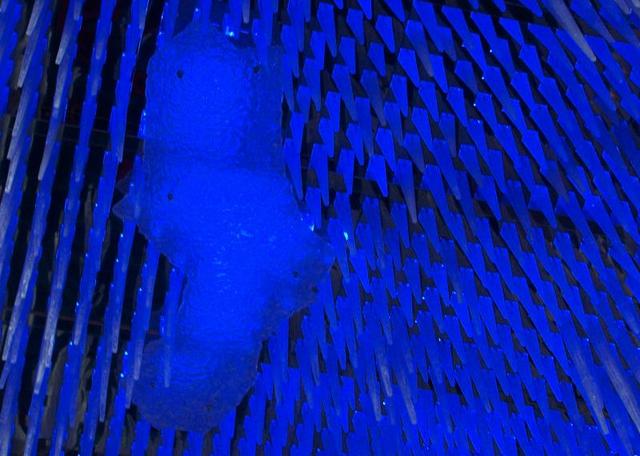 100_5071.JPG