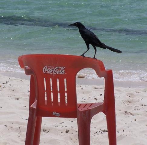 100_5143.JPG
