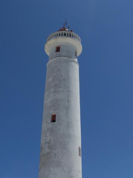 100_5154.JPG