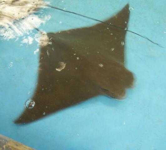 100_5382.JPG