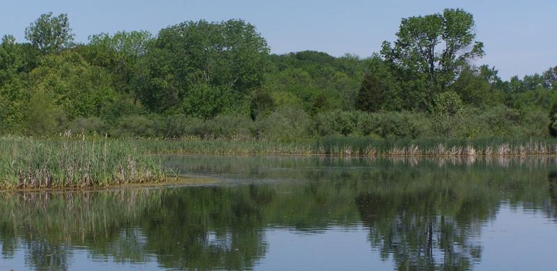 100_5842.JPG