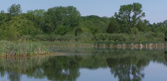 100_5842.JPG