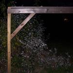 100_6533.JPG