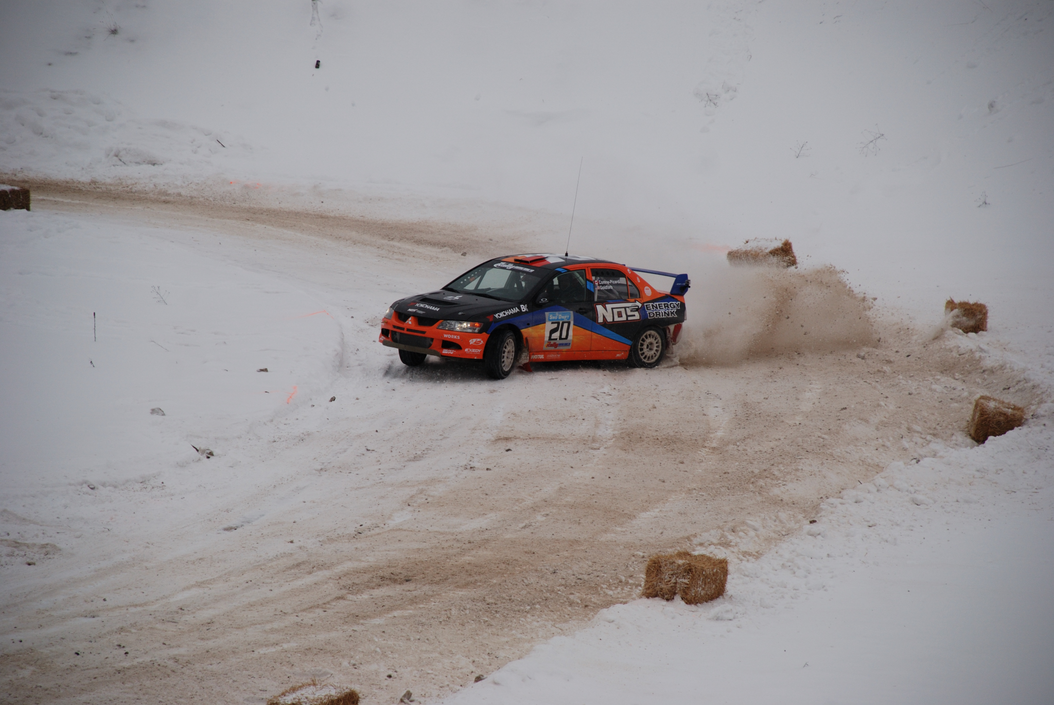 DSC_03130311.JPG