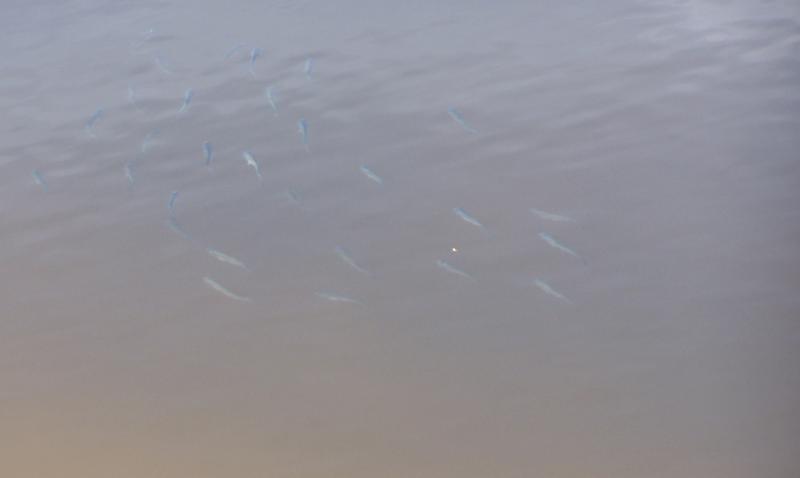 100_7034.JPG