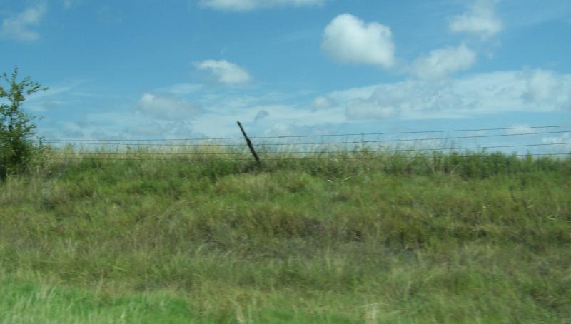 100_8189.JPG