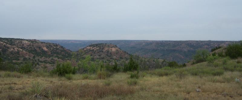 100_8254.JPG