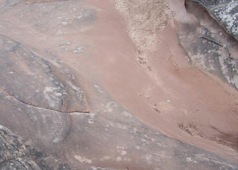100_8305.JPG