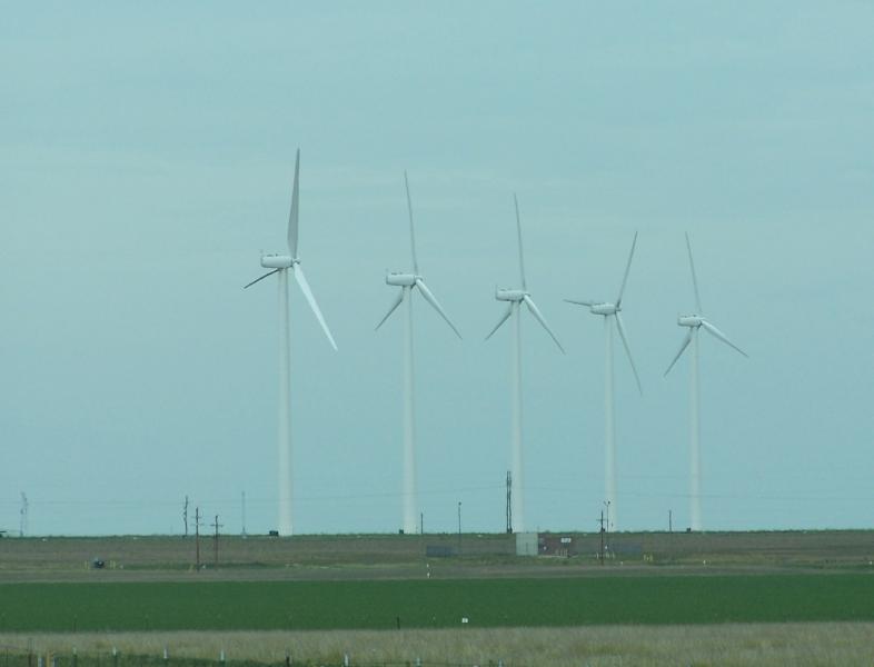 100_8395.JPG