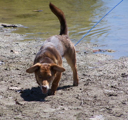 100_9220.JPG