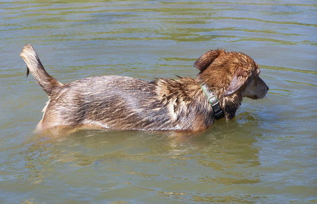 100_9227.JPG