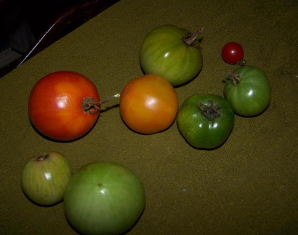 100_9434.JPG