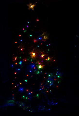 100_9536.JPG