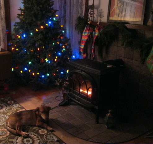 IMG_1699.JPG