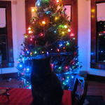 IMG_1730.JPG